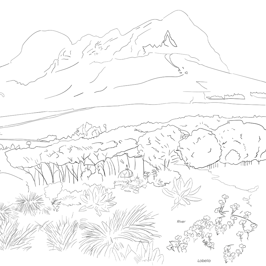 Ankole Hills CD Design — 1